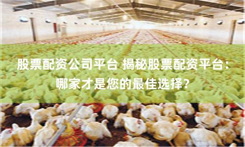 股票配资公司平台 揭秘股票配资平台：哪家才是您的最佳选择？