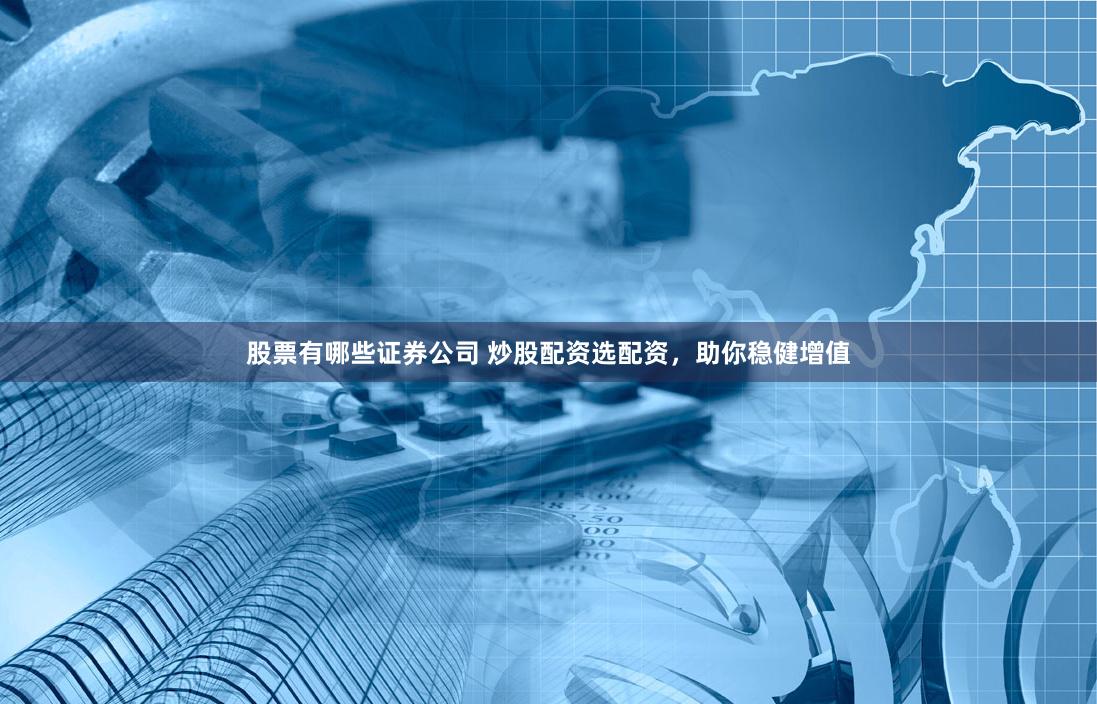 股票有哪些证券公司 炒股配资选配资，助你稳健增值