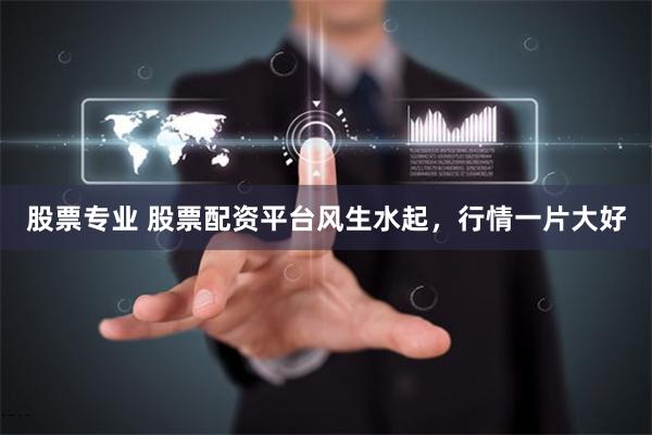 股票专业 股票配资平台风生水起,行情一片大好