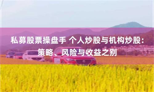私募股票操盘手 个人炒股与机构炒股:策略、风险与收益之别