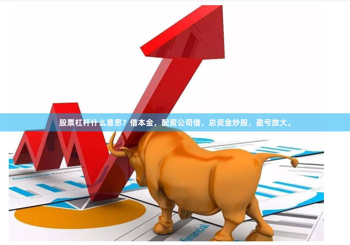 股票杠杆什么意思？借本金，配资公司借，总资金炒股，盈亏放大。