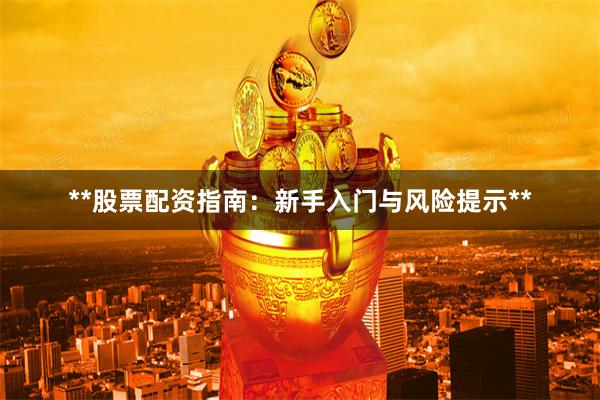 **股票配资指南：新手入门与风险提示**