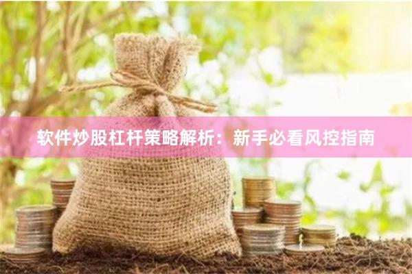 软件炒股杠杆策略解析:新手必看风控指南