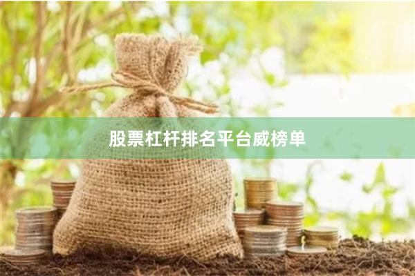 股票杠杆排名平台威榜单